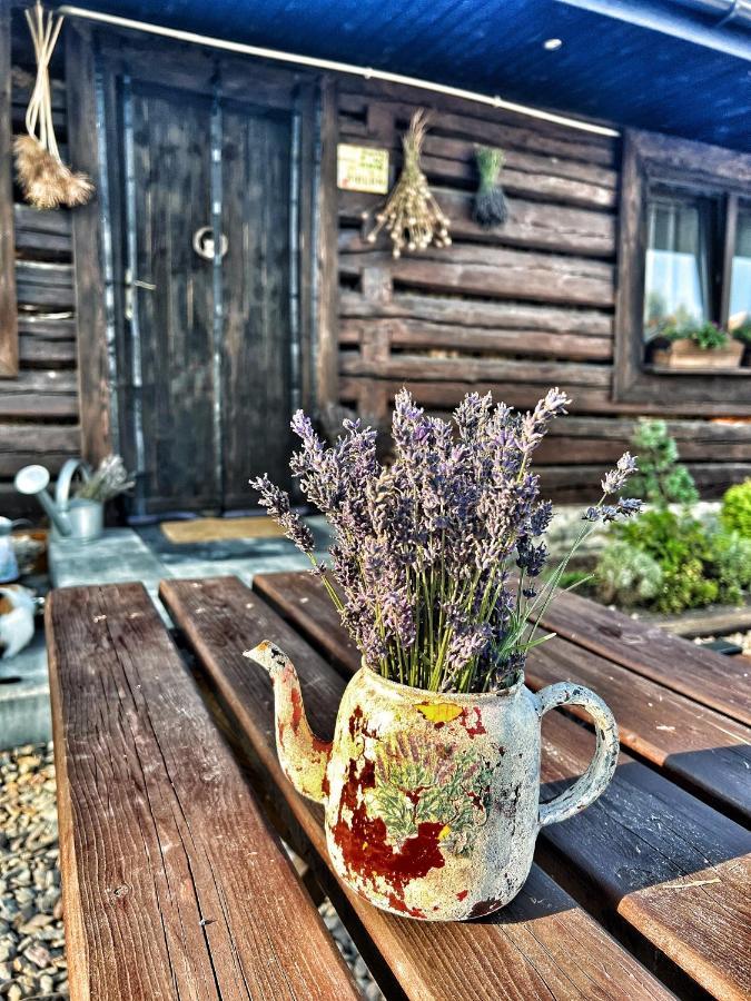 Malinowa Chatka Jankowice  ภายนอก รูปภาพ